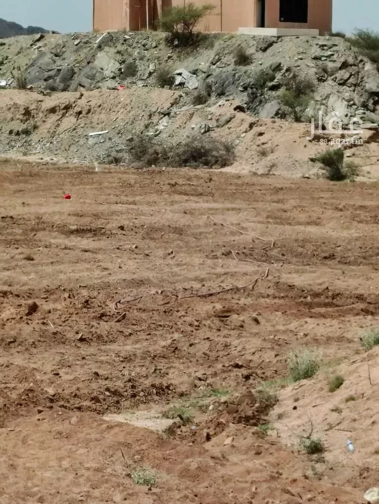 مزرعة للبيع في شارع الحامدية 20 ، القران ، الطائف صورة 2