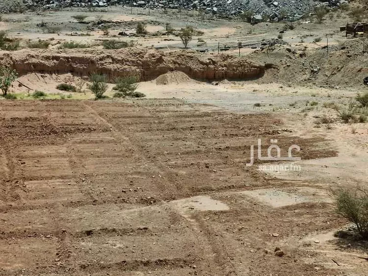 مزرعة للبيع في شارع الحامدية 20 ، القران ، الطائف صورة 3