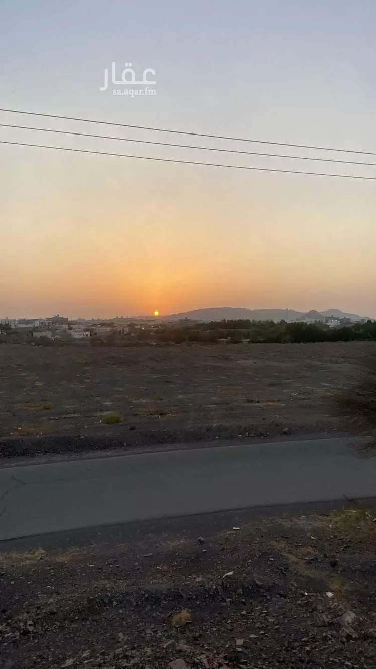 Farm for Sale in Medina Abu Kabir صورة 4