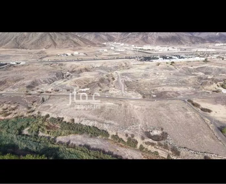 Farm for Sale in Medina Abu Kabir صورة 2