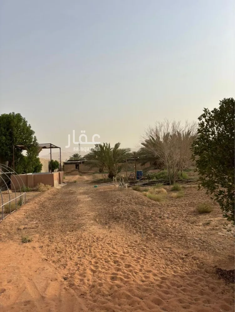 مزرعة للبيع في شارع بريد الاسلمي, حي قصور ال مقبل, مدينة مزارع البطين ومزرعه دواجن, منطقة الرياض صورة 3