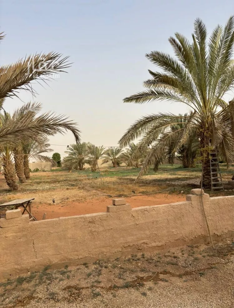 مزرعة للبيع في شارع بريد الاسلمي, حي قصور ال مقبل, مدينة مزارع البطين ومزرعه دواجن, منطقة الرياض صورة 2