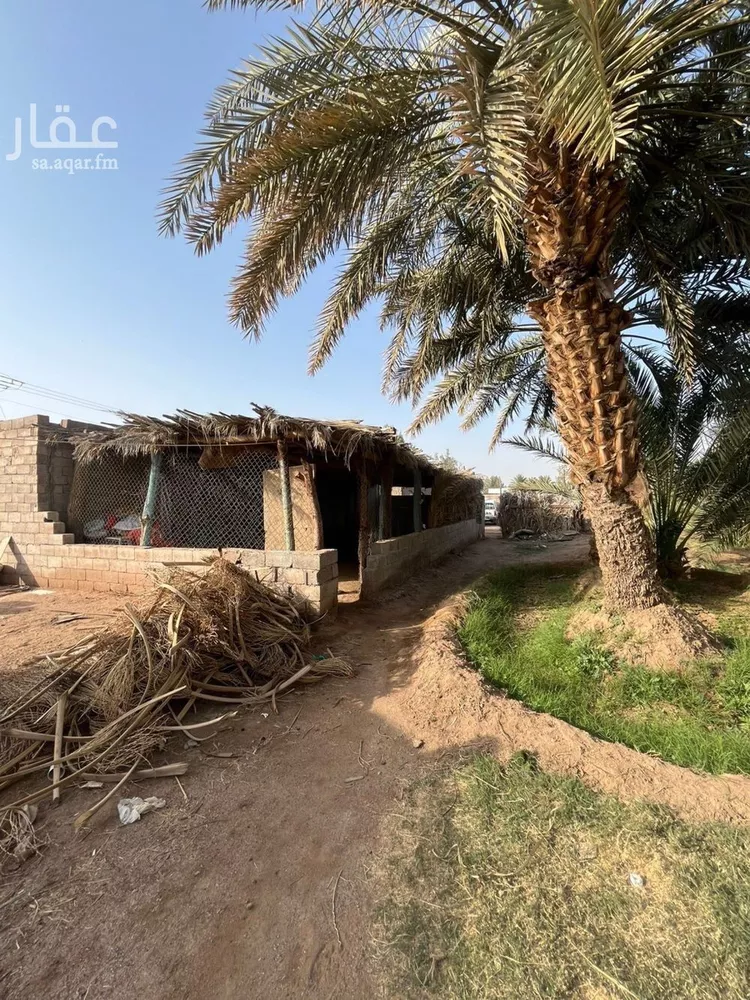 مزرعة للبيع في شارع المليليح 98, حي المليليح, مدينة المدينة المنورة, منطقة المدينة المنورة صورة 2