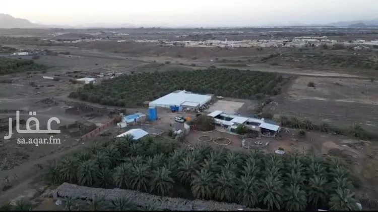 مزرعة للبيع في حي وادي البطان, مدينة المدينة المنورة, منطقة المدينة المنورة صورة 2