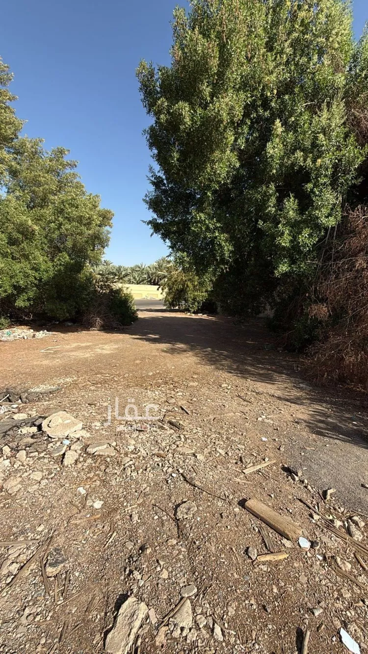 أرض للبيع في حي السيح, مدينة المدينه المنوره, منطقة المدينة المنورة