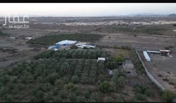 مزرعة للبيع في حي وادي البطان, مدينة المدينة المنورة, منطقة المدينة المنورة صورة 4