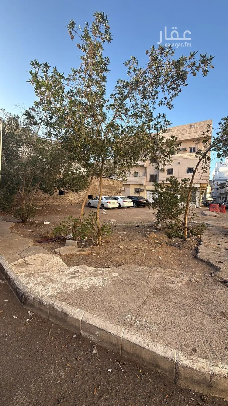 أرض للبيع في شارع الحسين بن ابراهيم بن الحسين, حي بنى معاوية, مدينة المدينة المنورة, منطقة المدينة المنورة صورة 5