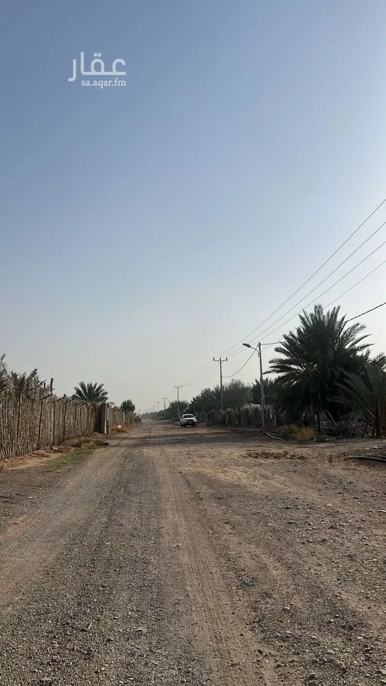 مزرعة للبيع في شارع المليليح 98, حي المليليح, مدينة المدينة المنورة, منطقة المدينة المنورة صورة 5