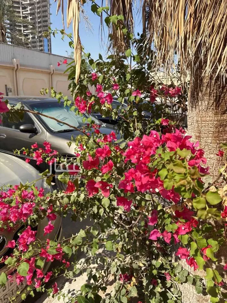 شقة للإيجار في حي الشاطئ الشرقي, مدينة الدمام, المنطقة الشرقية صورة 4