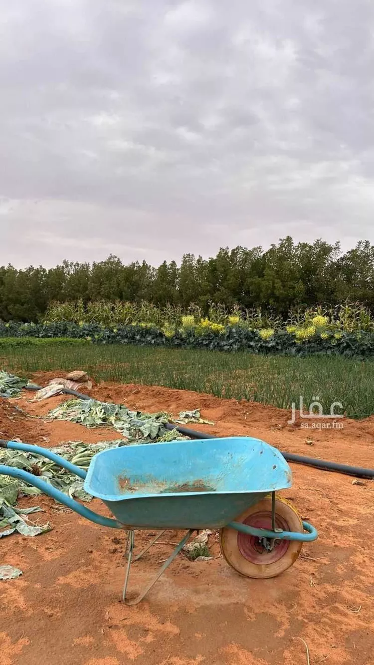 مزرعة للبيع في شارع اسماء بنت عميس, حي اليمامة, مدينة ضرما, منطقة الرياض 12