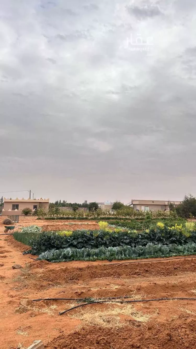 مزرعة للبيع في شارع اسماء بنت عميس, حي اليمامة, مدينة ضرما, منطقة الرياض 13