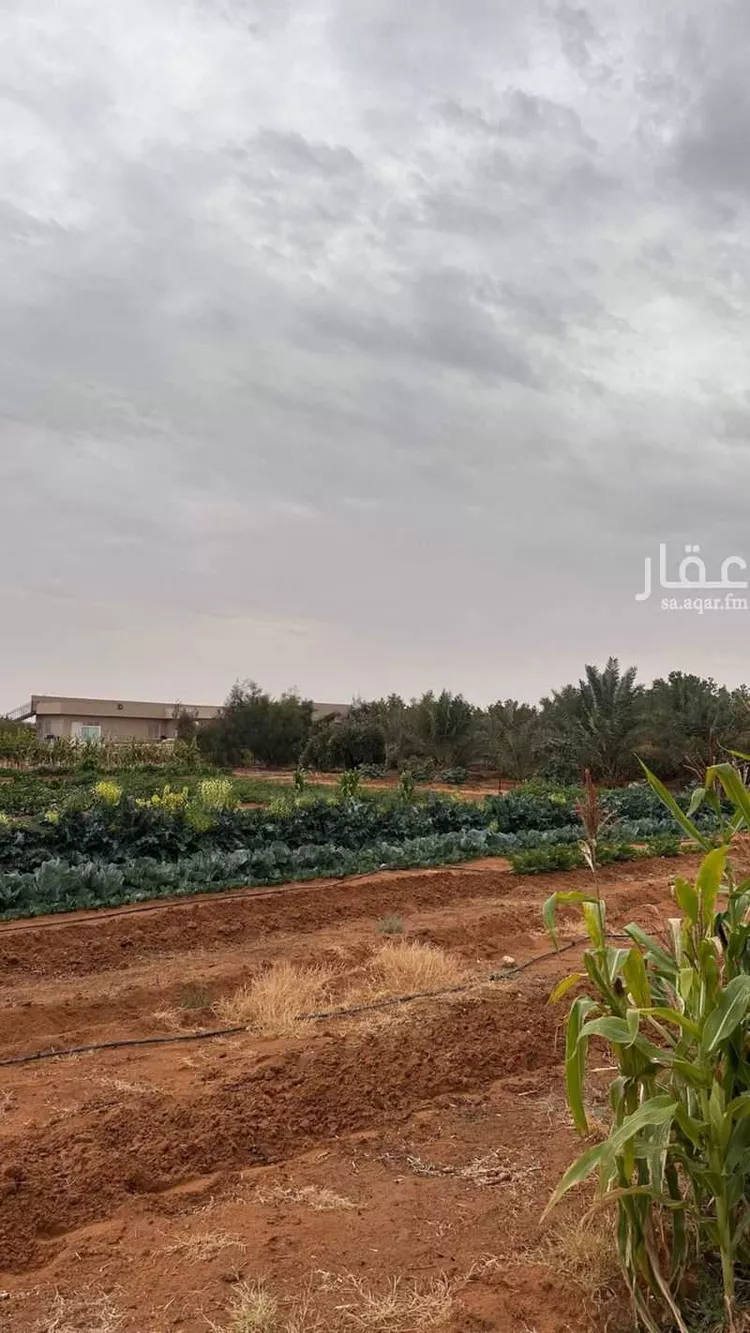 مزرعة للبيع في شارع اسماء بنت عميس, حي اليمامة, مدينة ضرما, منطقة الرياض 11