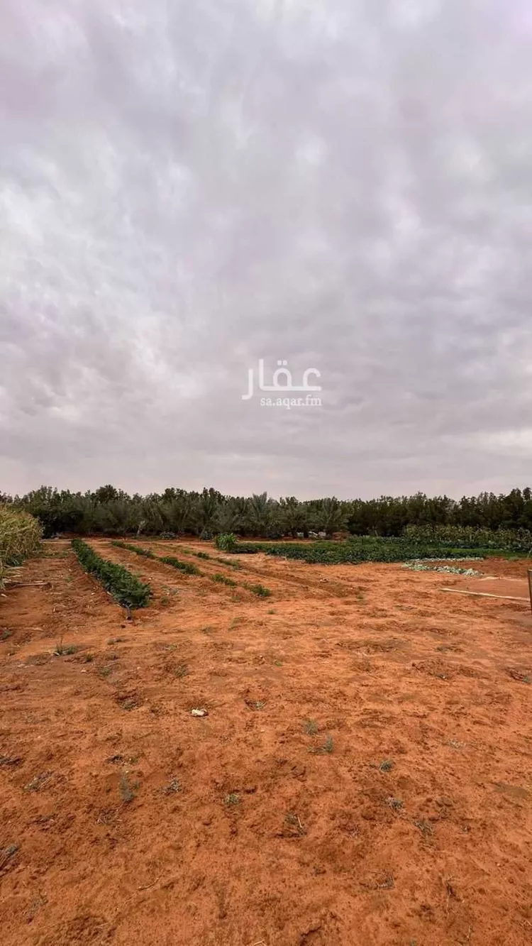 مزرعة للبيع في شارع اسماء بنت عميس, حي اليمامة, مدينة ضرما, منطقة الرياض 7