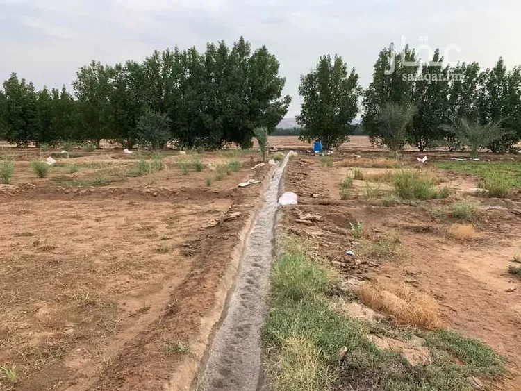 مزرعة للبيع في المملكة العربية السعودية صورة 3