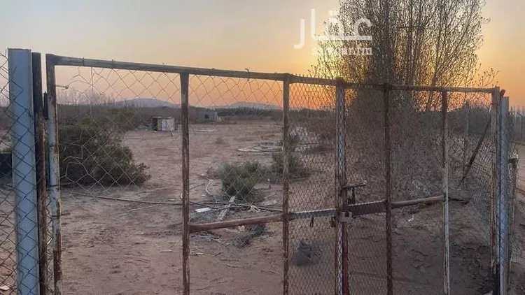 مزرعة للبيع في عسفان ، الجموم 7