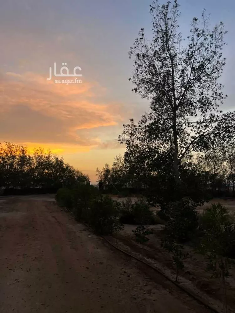 مزرعة للبيع في مدينة خليص, منطقة مكة المكرمة صورة 3