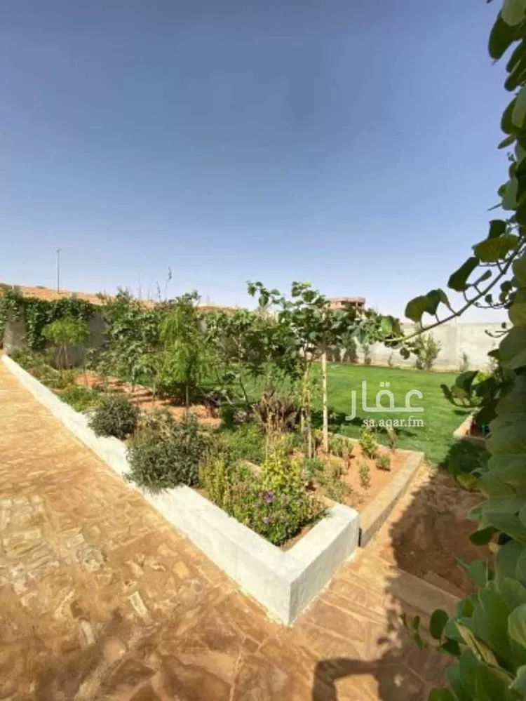 استراحة للإيجار في مخيم الجود ، المشاعلة ، المزاحمية صورة 3