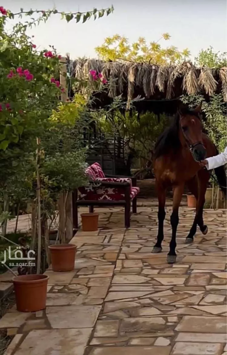 مخيم للحجز في شارع أمين الريحاني ، حي المصفاة ، الرياض ، منطقة الرياض