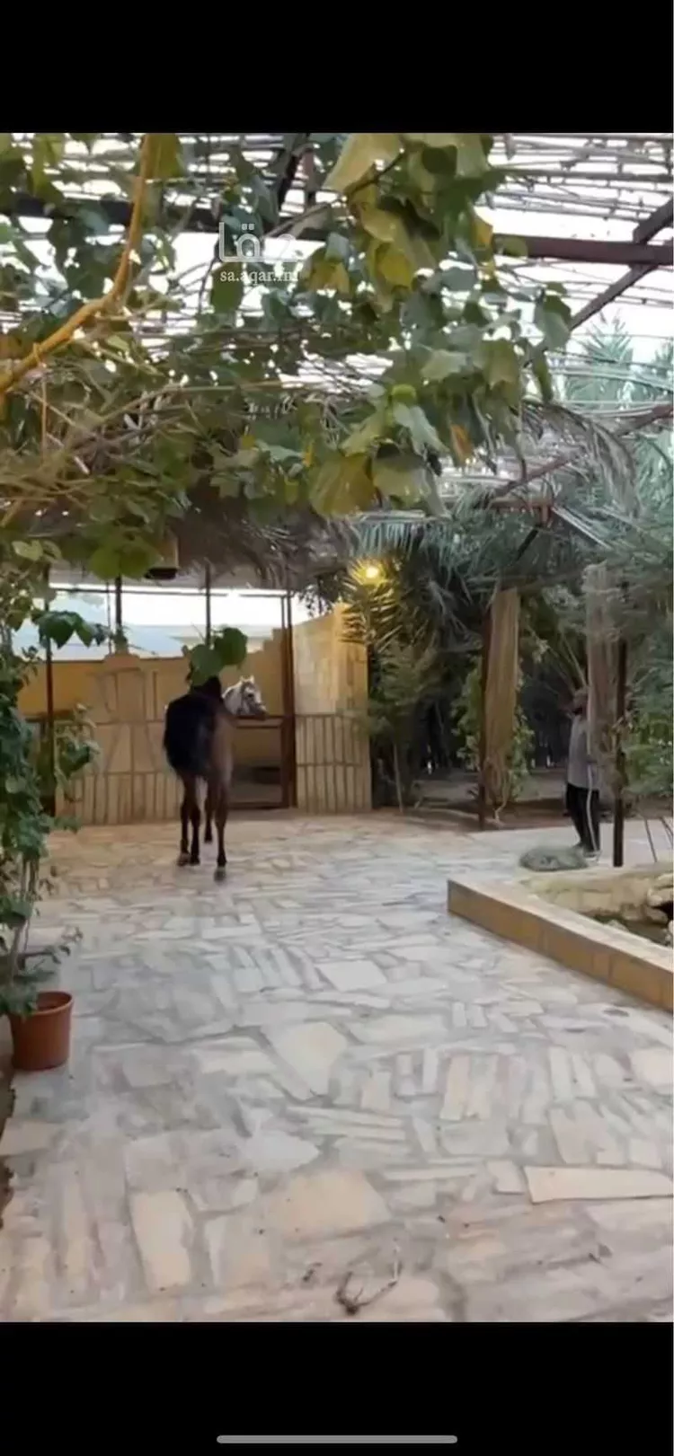 مخيم للحجز في شارع أمين الريحاني ، حي المصفاة ، الرياض ، منطقة الرياض صورة 5