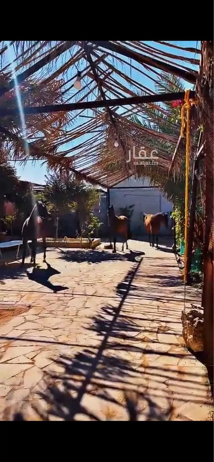 مخيم للحجز في شارع أمين الريحاني ، حي المصفاة ، الرياض ، منطقة الرياض صورة 4