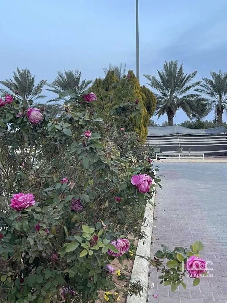 Rest House for Sale in Hail An Nasim 9
