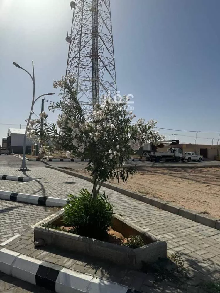 أرض للإيجار في شارع طريق الملك عبدالعزيز, حي الحي الشمالي, مدينة الفويلق, منطقة القصيم صورة 2