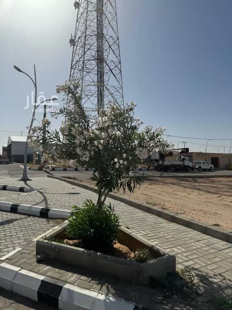 Land for Sale in Al Bukayriyah Al Qadisiyah صورة 2