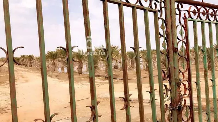 أرض للإيجار في حي مزارع الحماده, مدينة مزارع الحماده, منطقة الرياض صورة 2