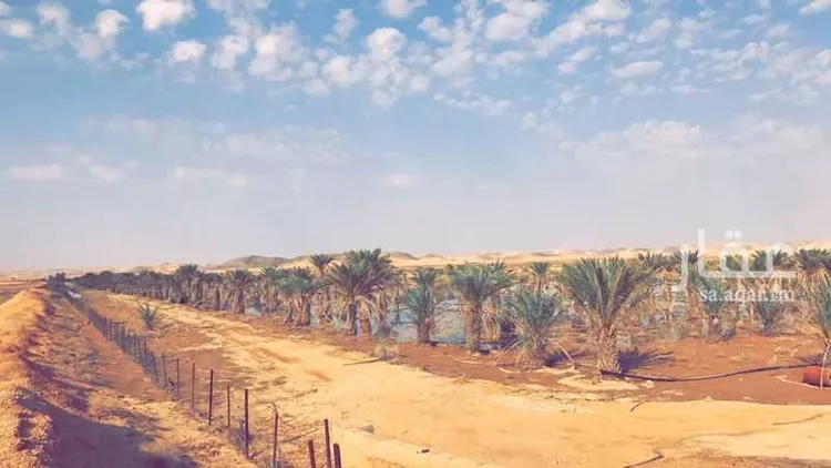 أرض للإيجار في حي مزارع الحماده, مدينة مزارع الحماده, منطقة الرياض
