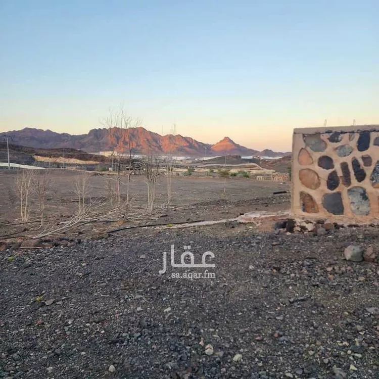 أرض للبيع في حي المدينة الصناعية, مدينة المدينة المنورة, منطقة المدينة المنورة صورة 3