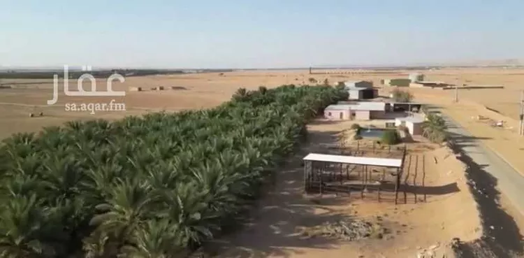مزرعة للبيع في شارع مليح, حي مزارع حمادة مليح الشماليه, مدينة مزارع حمادة مليح الشماليه, منطقة الرياض صورة 3