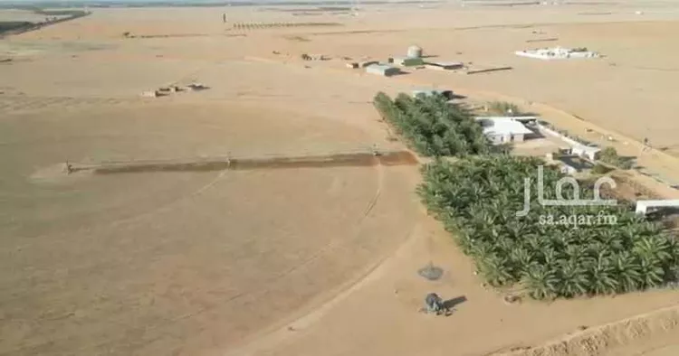 مزرعة للبيع في شارع مليح, حي مزارع حمادة مليح الشماليه, مدينة مزارع حمادة مليح الشماليه, منطقة الرياض صورة 4