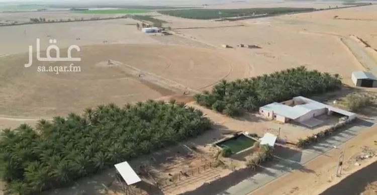 مزرعة للبيع في شارع مليح, حي مزارع حمادة مليح الشماليه, مدينة مزارع حمادة مليح الشماليه, منطقة الرياض صورة 2