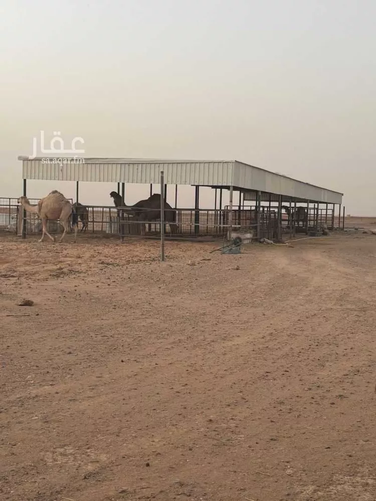مزرعة للبيع في شارع الفويلق الشمالي 65 ، الربواء ، القويعية صورة 4