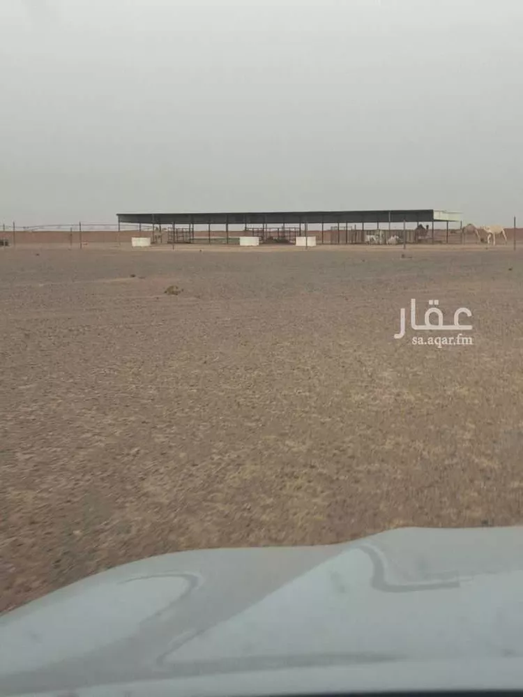 مزرعة للبيع في شارع الفويلق الشمالي 65 ، الربواء ، القويعية صورة 5