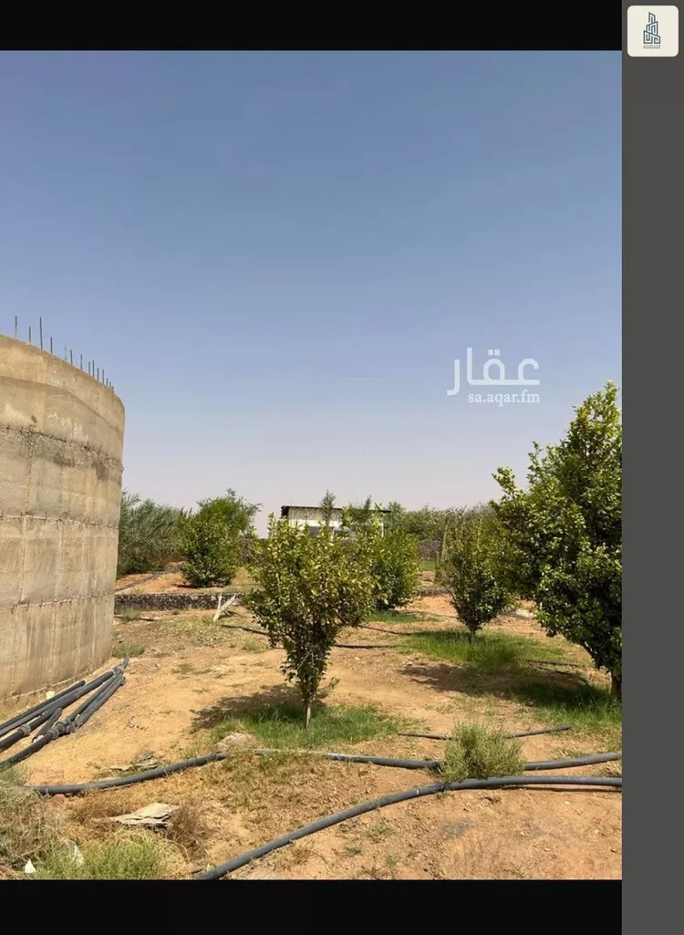 مزرعة للبيع في مدينة الجلة, منطقة الرياض صورة 4