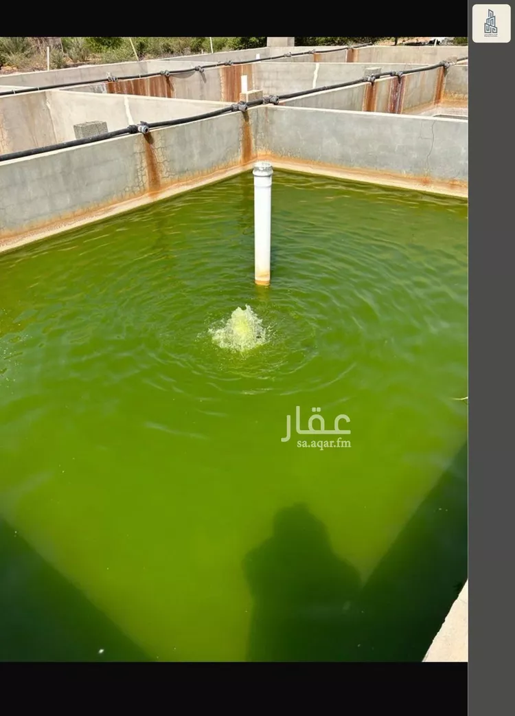 مزرعة للبيع في مدينة الجلة, منطقة الرياض صورة 3