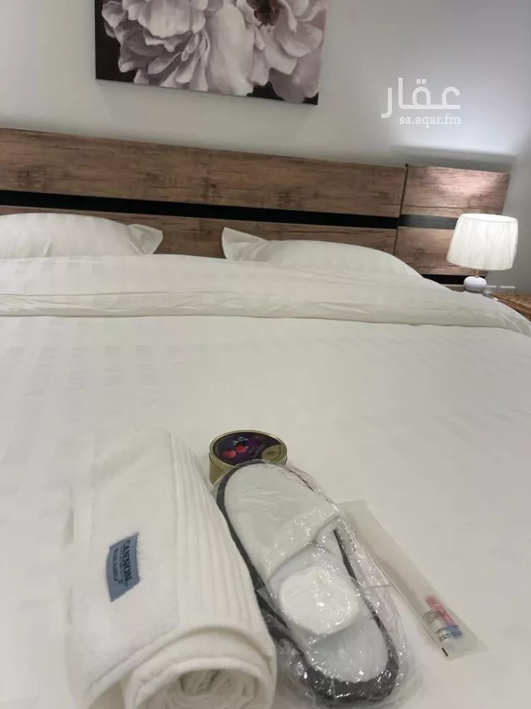 شقة للإيجار في شارع رقم 249, حي الياسمين, مدينة الرياض, منطقة الرياض صورة 2