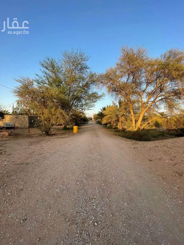مزرعة للبيع في حي مزارع وادي وراط, مدينة مزارع وادي وراط, منطقة الرياض صورة 4