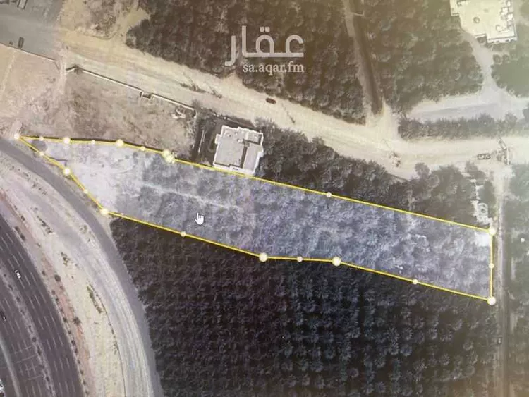 مزرعة للبيع في شارع البساتين2, حي البساتين2, مدينة الاحساء, المنطقة الشرقية