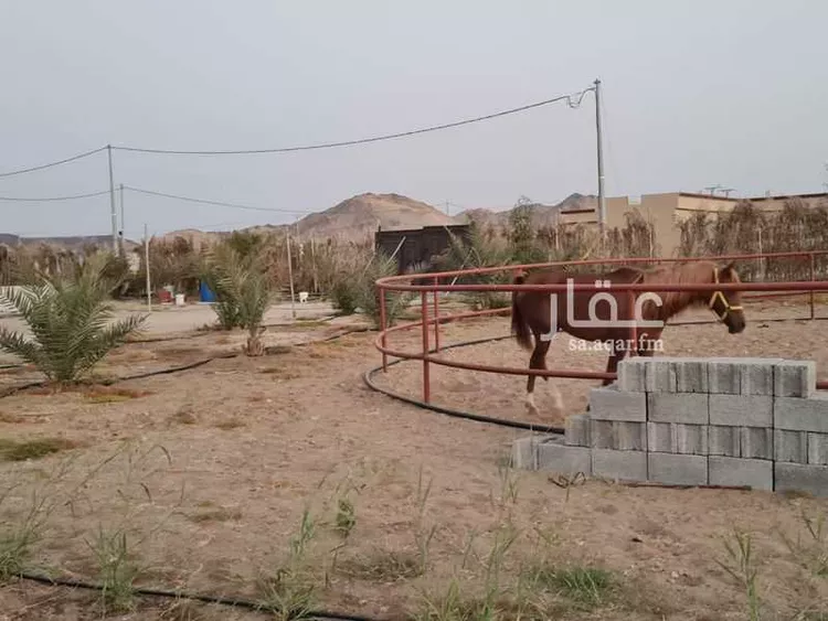 مزرعة للبيع في غران صورة 3