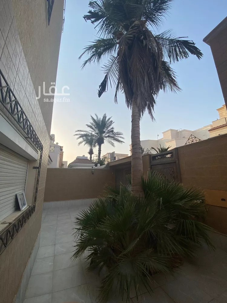 فيلا للإيجار في شارع وادي سدوس, حي الخالدية, مدينة جدة, منطقة مكة المكرمة صورة 5