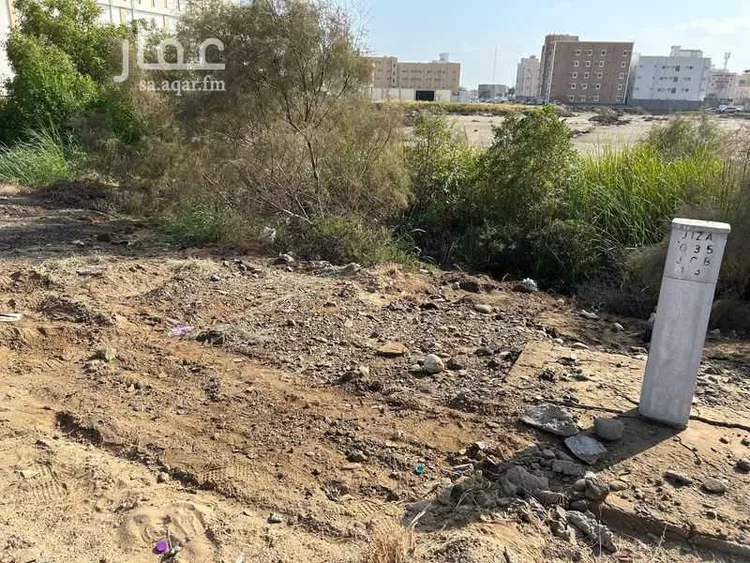 أرض للإيجار في شارع 22996100, حي الصفاء, مدينة جازان, منطقة جازان
