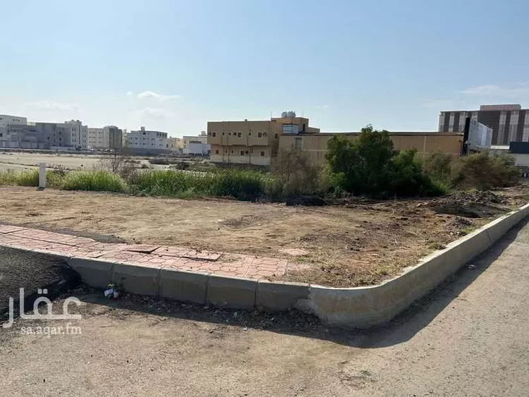 أرض للإيجار في شارع 22996100, حي الصفاء, مدينة جازان, منطقة جازان صورة 3