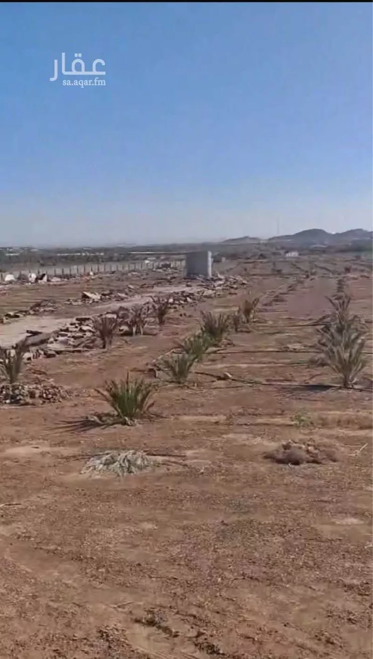 أرض للبيع في حي الصهوة, مدينة المدينة المنورة, منطقة المدينة المنورة