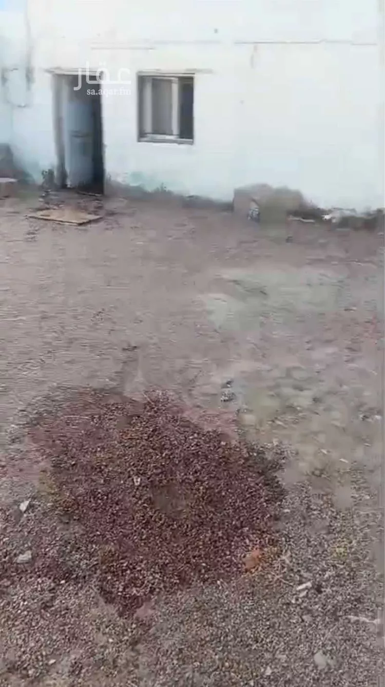 دور للبيع في شارع جويرية بنت ابي سفيان, حي النخيل, مدينة المدينة المنورة, منطقة المدينة المنورة صورة 4