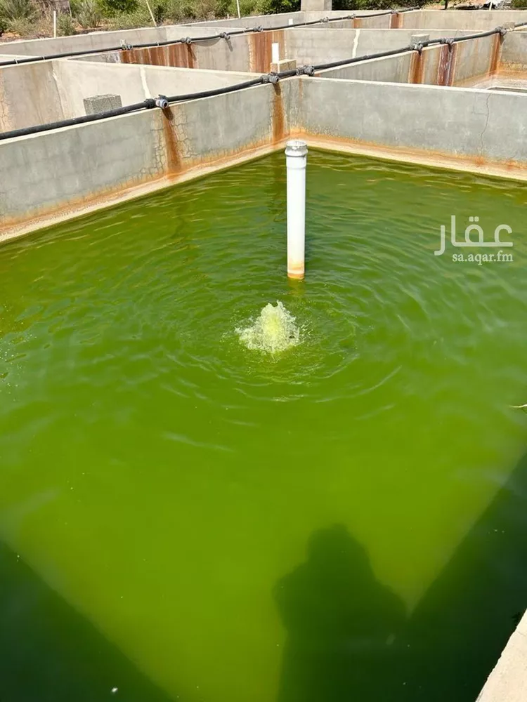 مزرعة للبيع في حي المشاعله, مدينة المشاعله, منطقة الرياض صورة 4