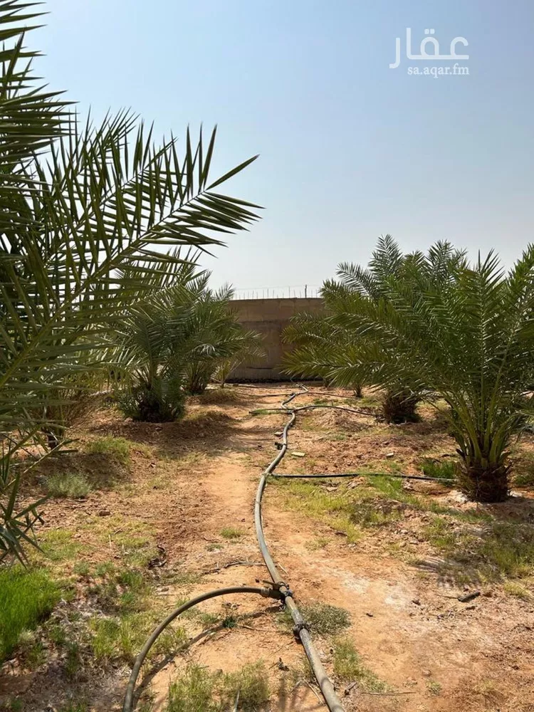 مزرعة للبيع في حي المشاعله, مدينة المشاعله, منطقة الرياض