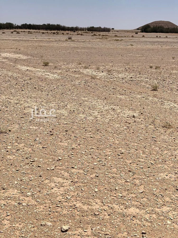 أرض للبيع في شارع شارع الملك فيصل, حي مزارع قصر سعود (السحق), مدينة مزارع قصر سعود (السحق), منطقة الرياض صورة 2