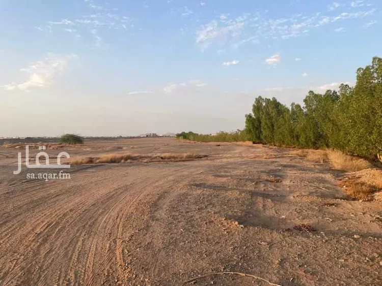 أرض للإيجار في ذهبان ، جدة